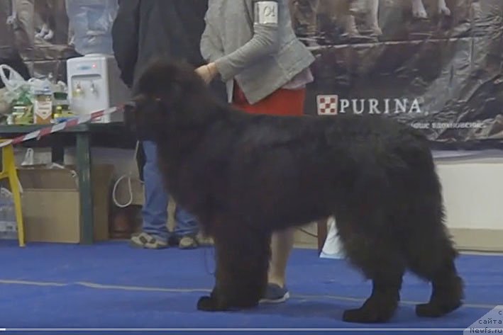 Фотография № 204707