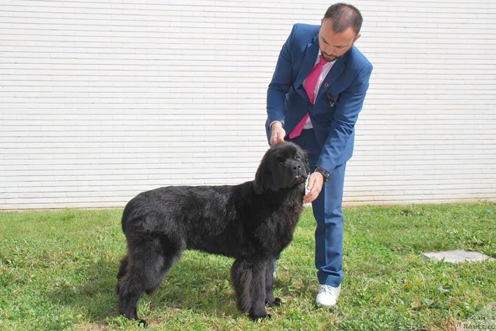 Фотография № 204708