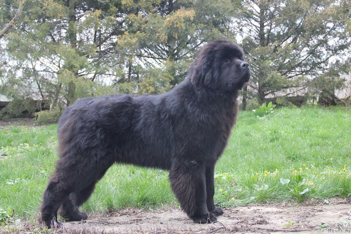 Фотография № 204709