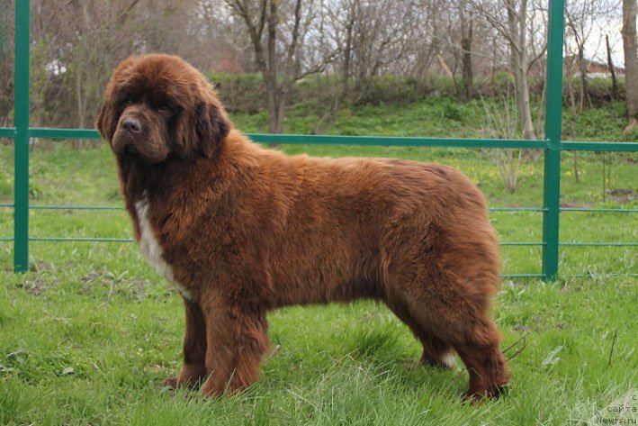 Фотография № 204711