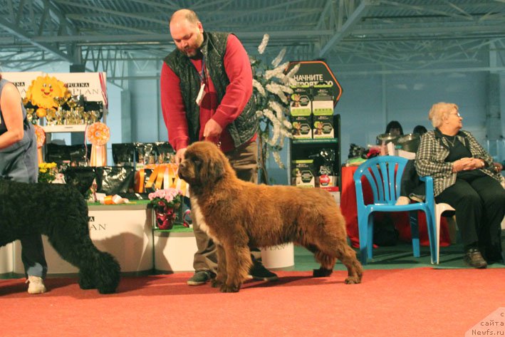 Фотография № 204712