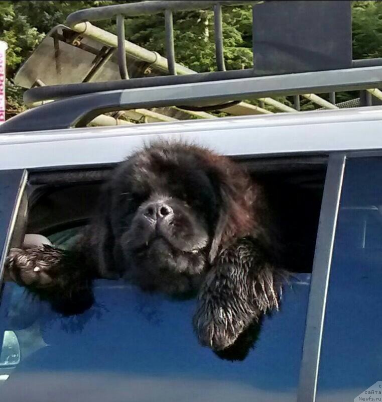 Фотография № 204729