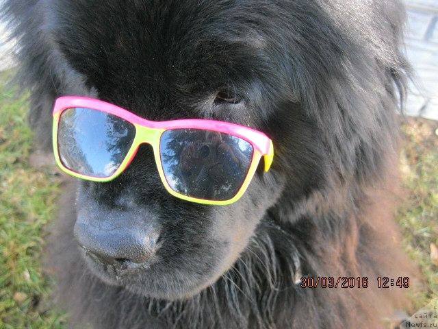 Фотография № 204770