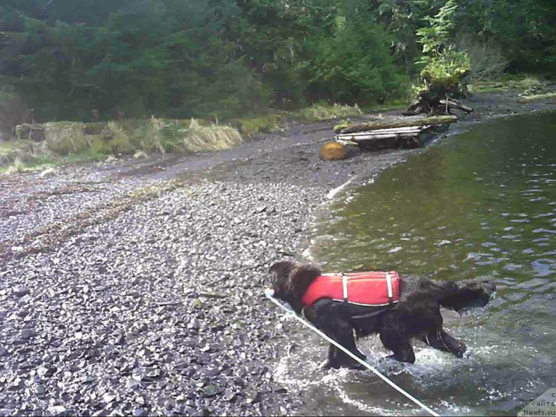 Фотография № 204774