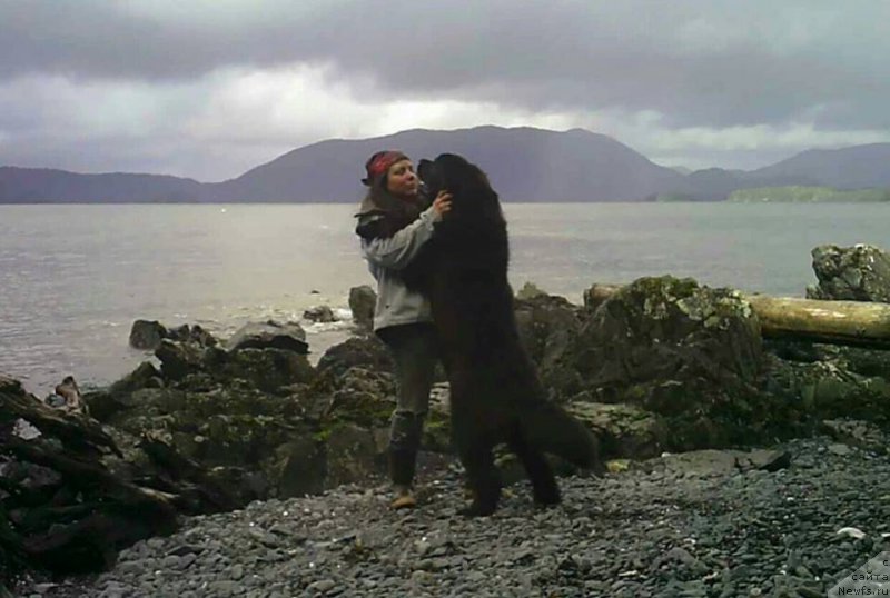 Фотография № 204776