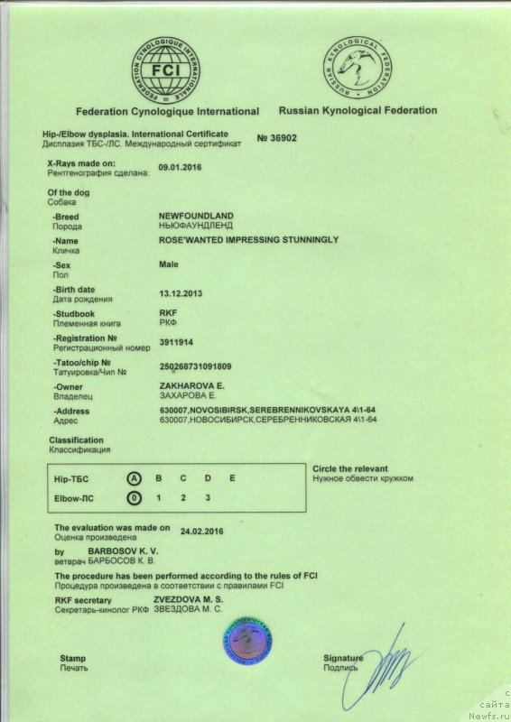 Фотография № 204777