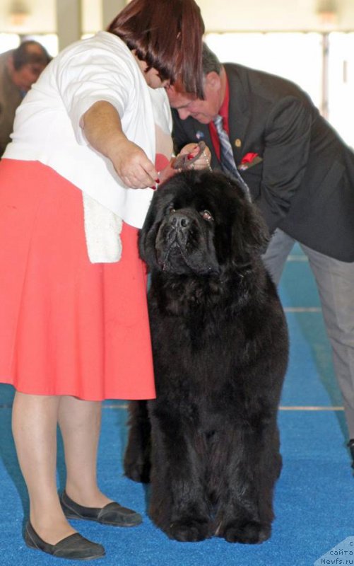 Фотография № 204783