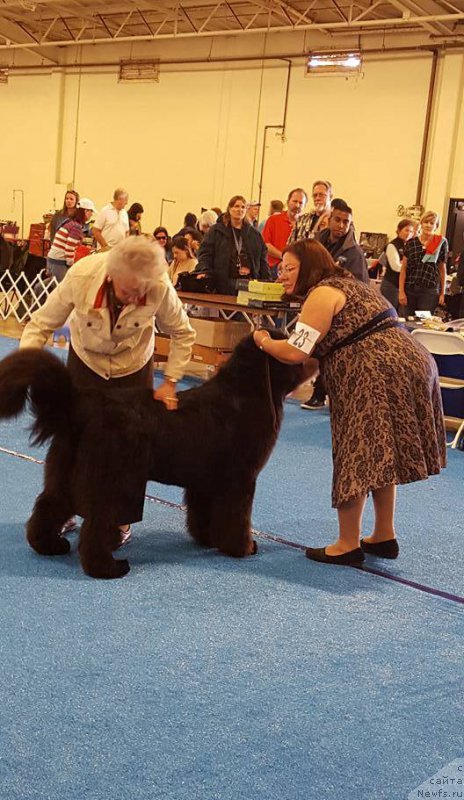 Фотография № 204784