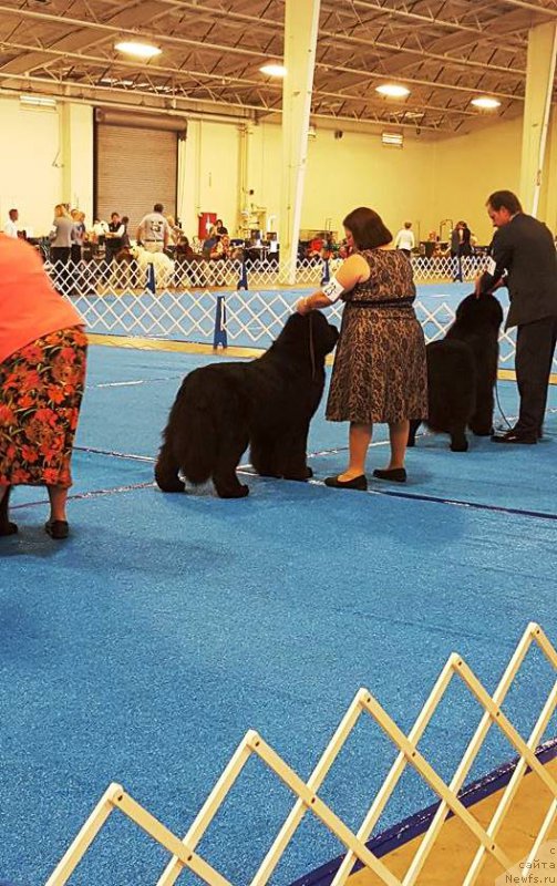 Фотография № 204785