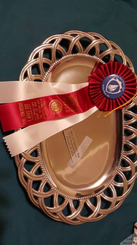 Фотография № 204786