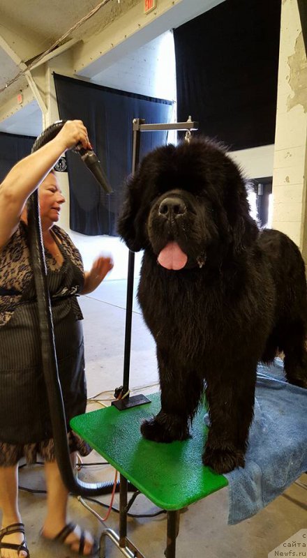 Фотография № 204788