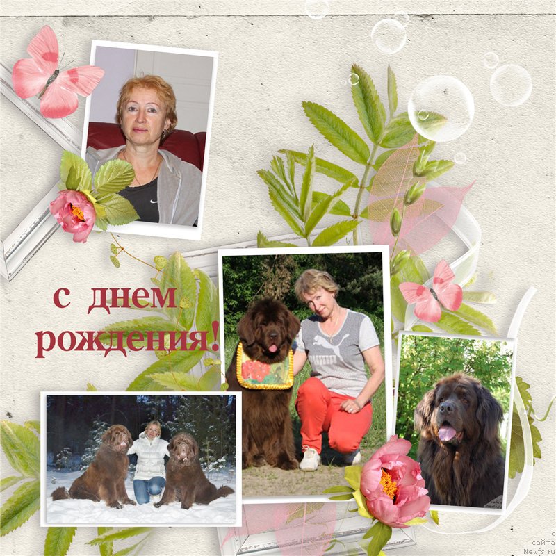 Фотография № 204803