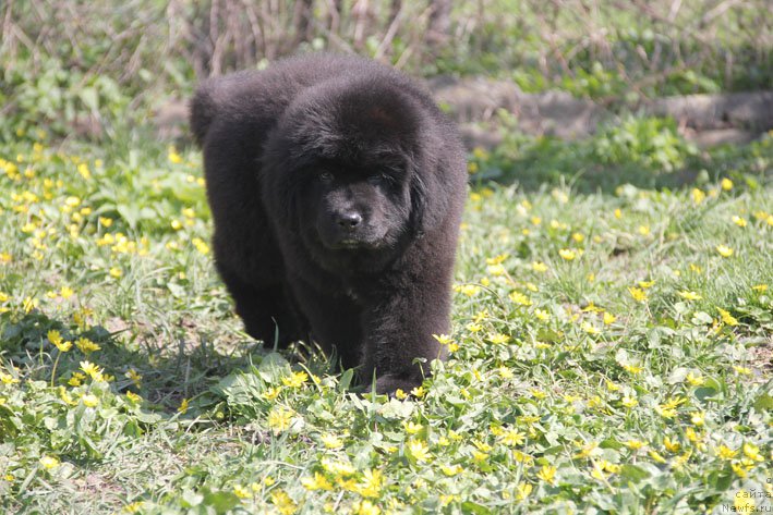 Фотография № 204807