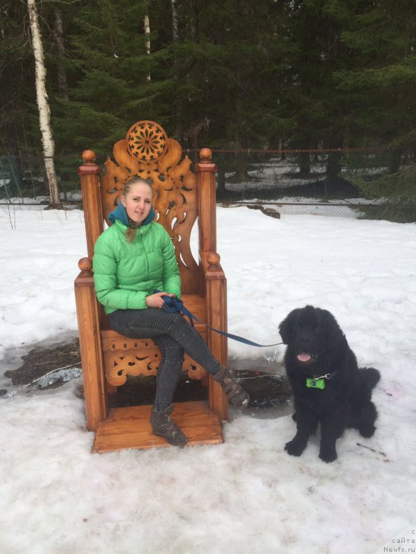 Фотография № 204808