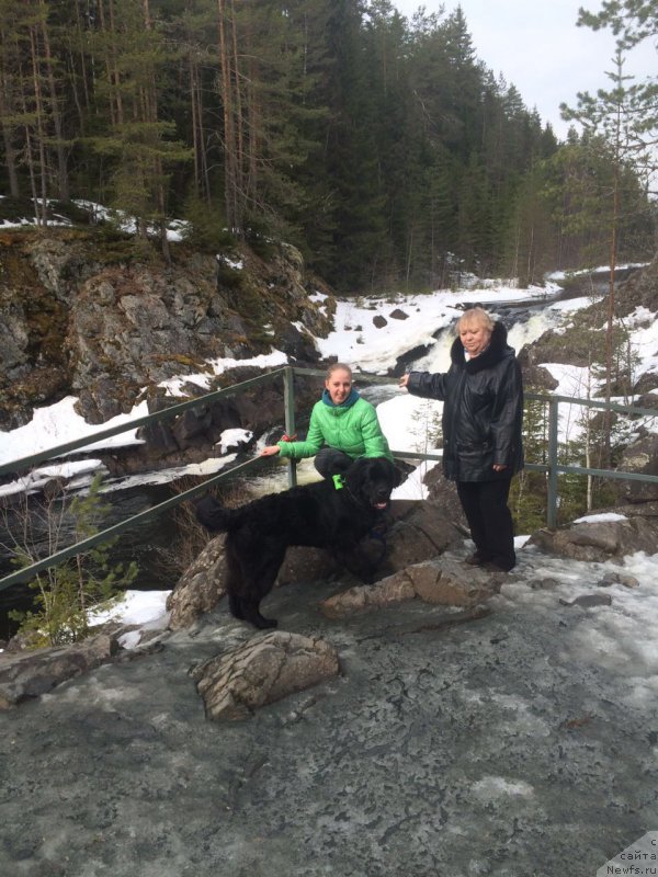 Фотография № 204809