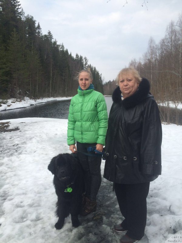 Фотография № 204810