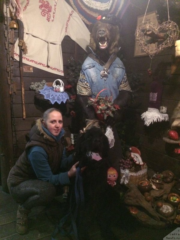 Фотография № 204811