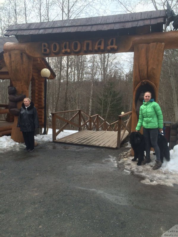 Фотография № 204812