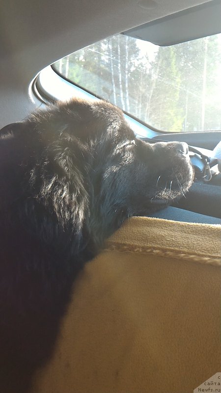 Фотография № 204816