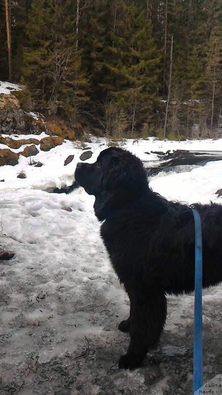 Фотография № 204817