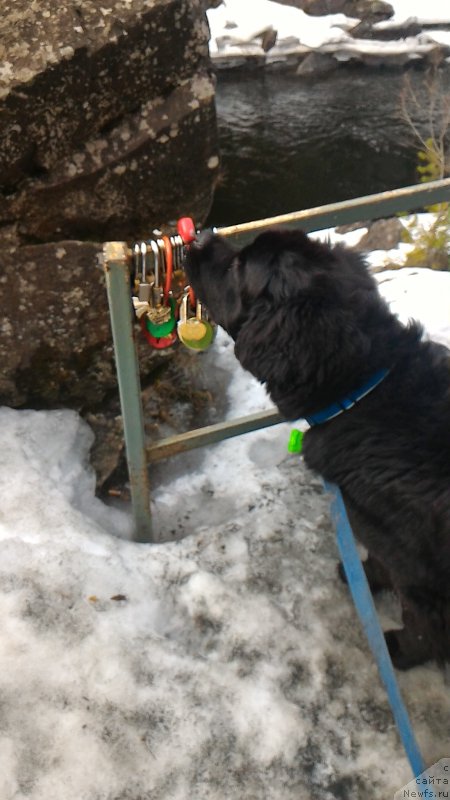 Фотография № 204818