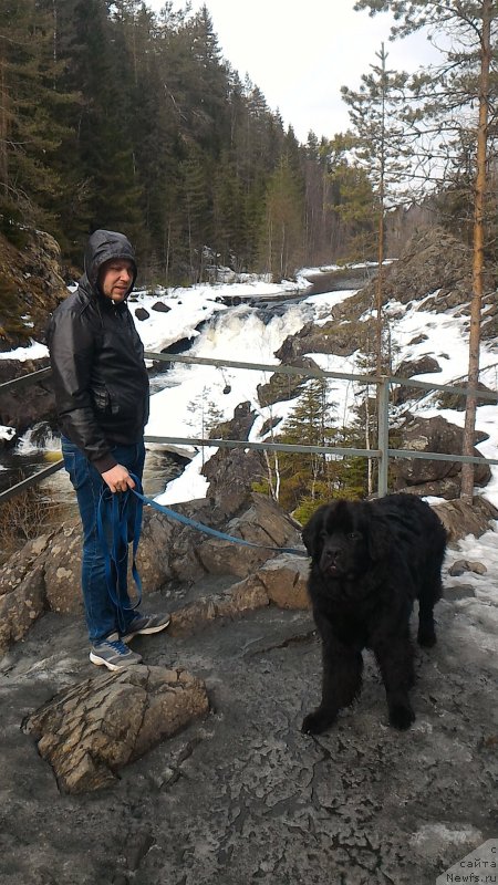 Фотография № 204819