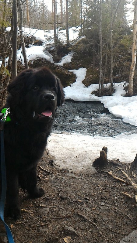 Фотография № 204820