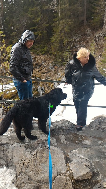 Фотография № 204821