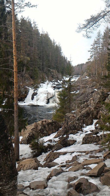 Фотография № 204825