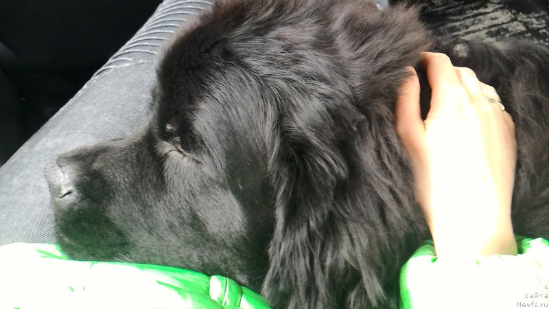 Фотография № 204826