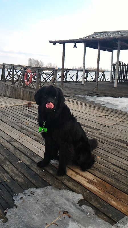 Фотография № 204828