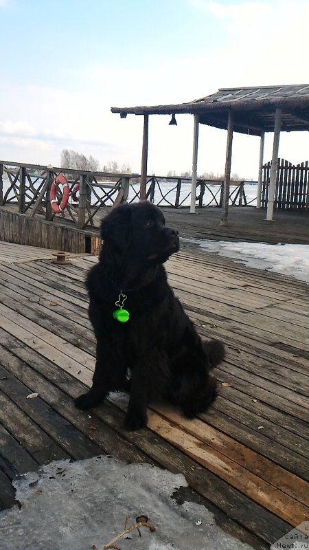 Фотография № 204829