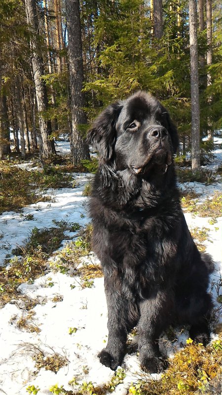 Фотография № 204830