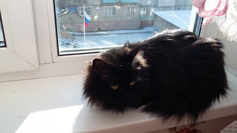 Фотография № 204833