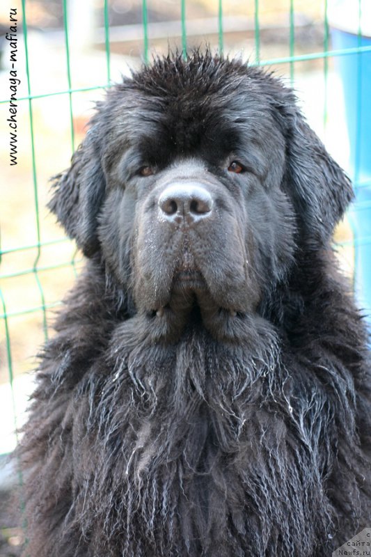 Фотография № 204834