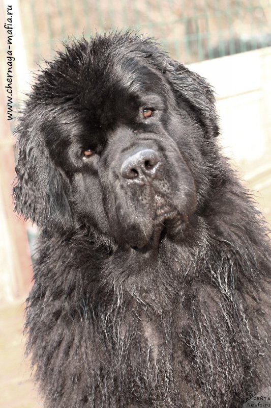 Фотография № 204835