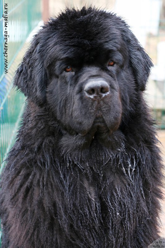 Фотография № 204836