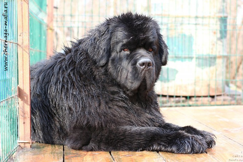 Фотография № 204837