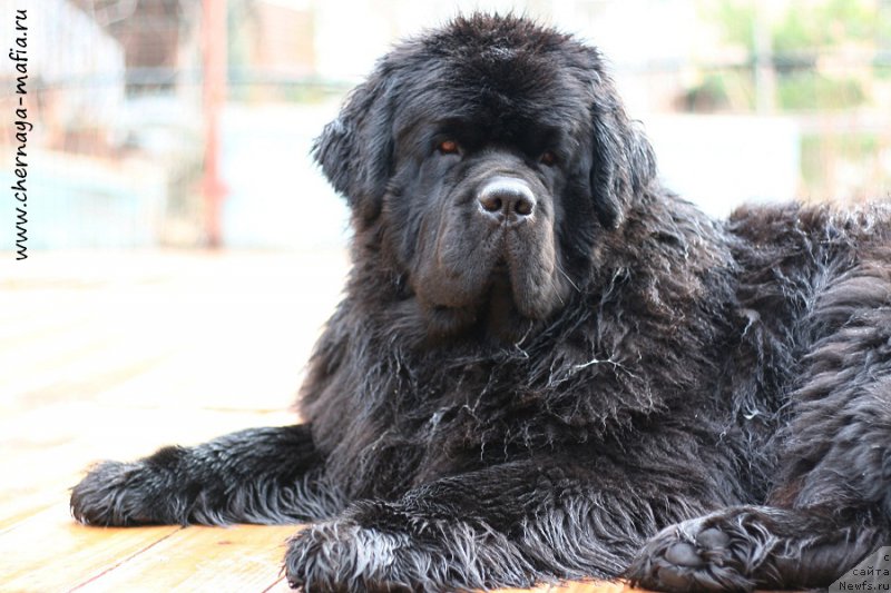 Фотография № 204839