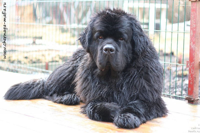 Фотография № 204840