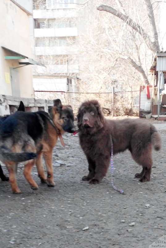 Фотография № 204903