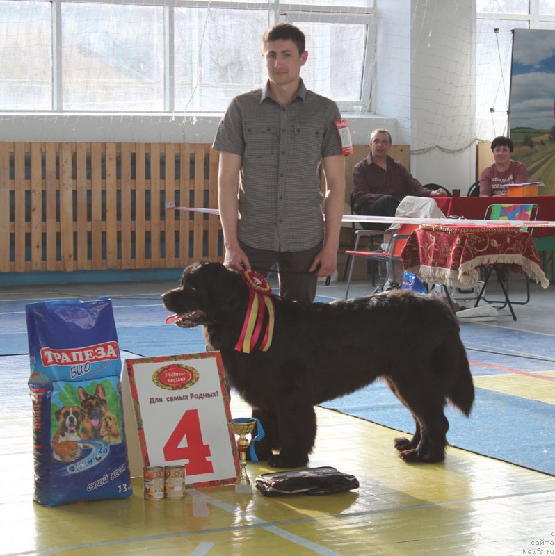 Фотография № 204905