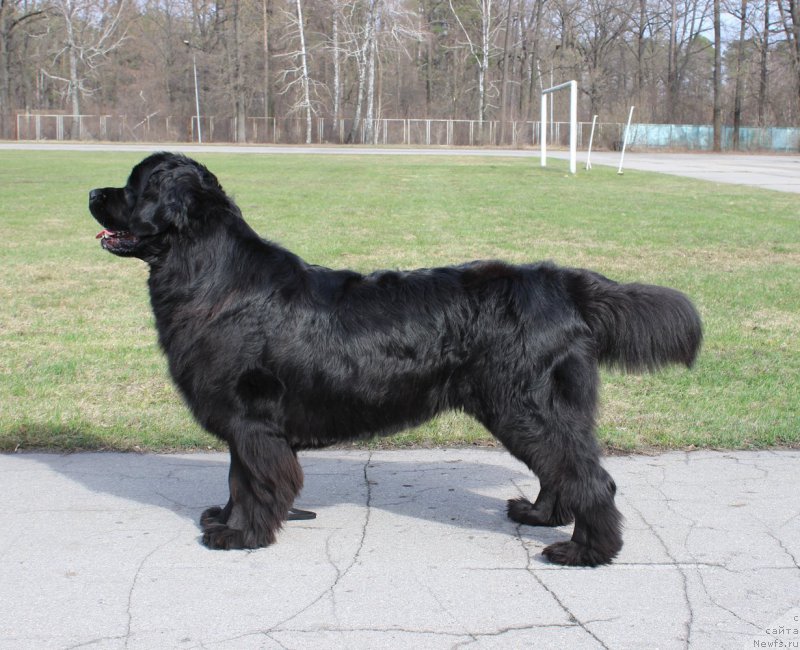 Фотография № 204906