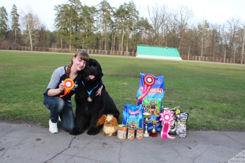 Фотография № 204907