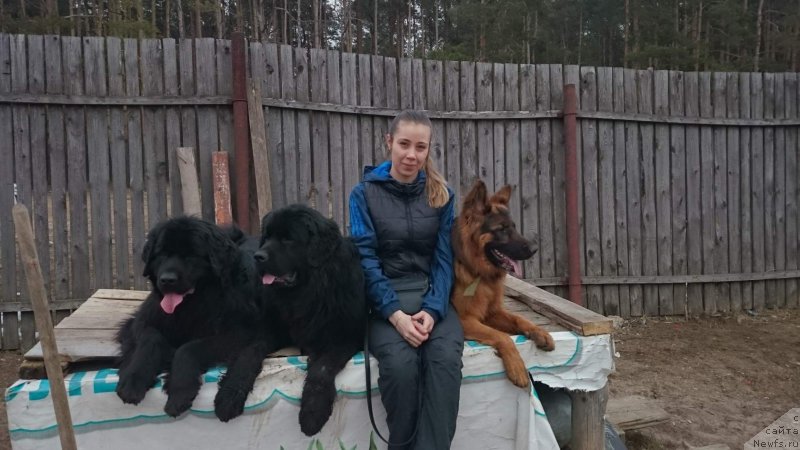 Фотография № 204925