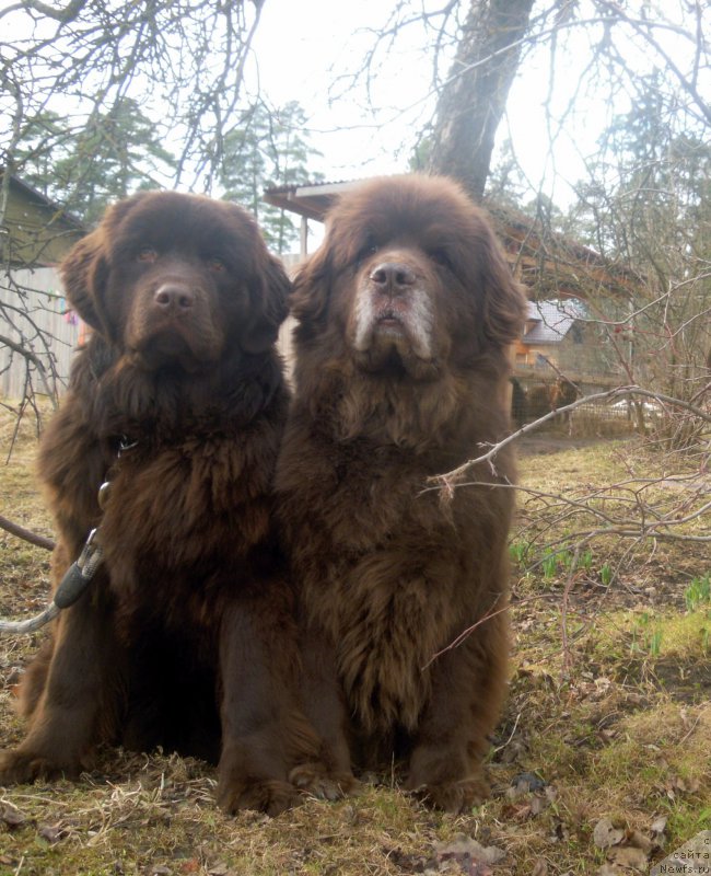 Фотография № 204928