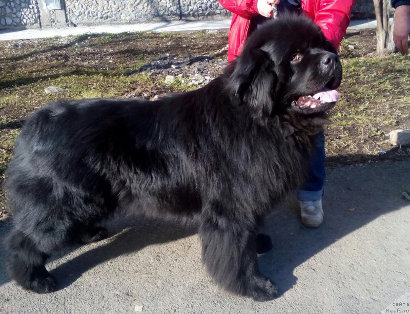 Фотография № 204931