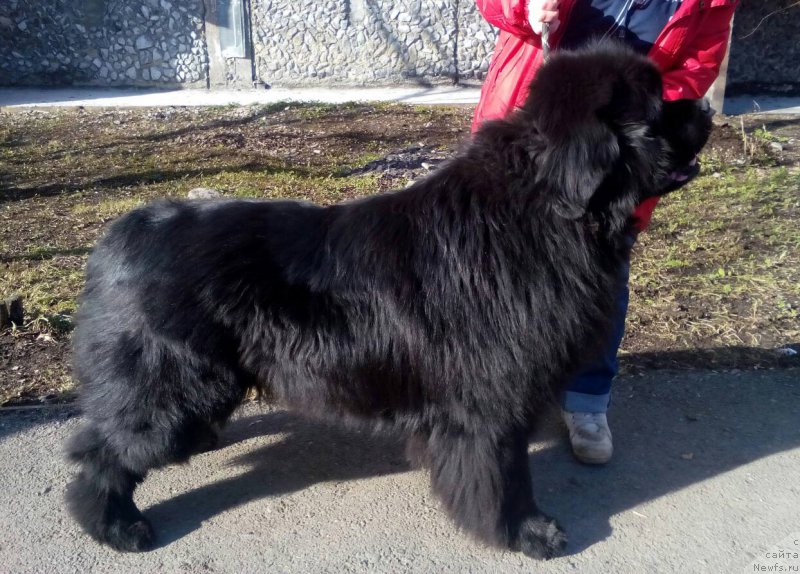 Фотография № 204933