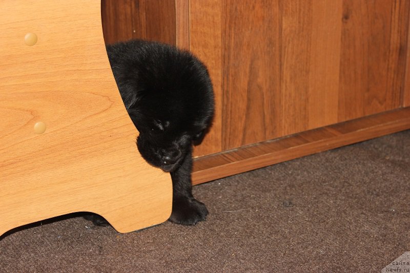 Фотография № 204939