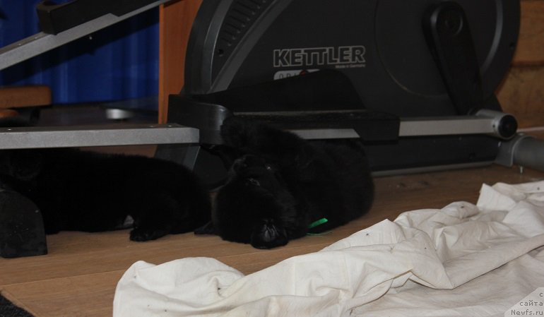 Фотография № 204941